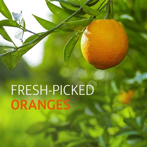 Tropicana Pure Premium 100% Orange Juice Original, Calcium + Vitamin D, 89 Fl Oz Bottle