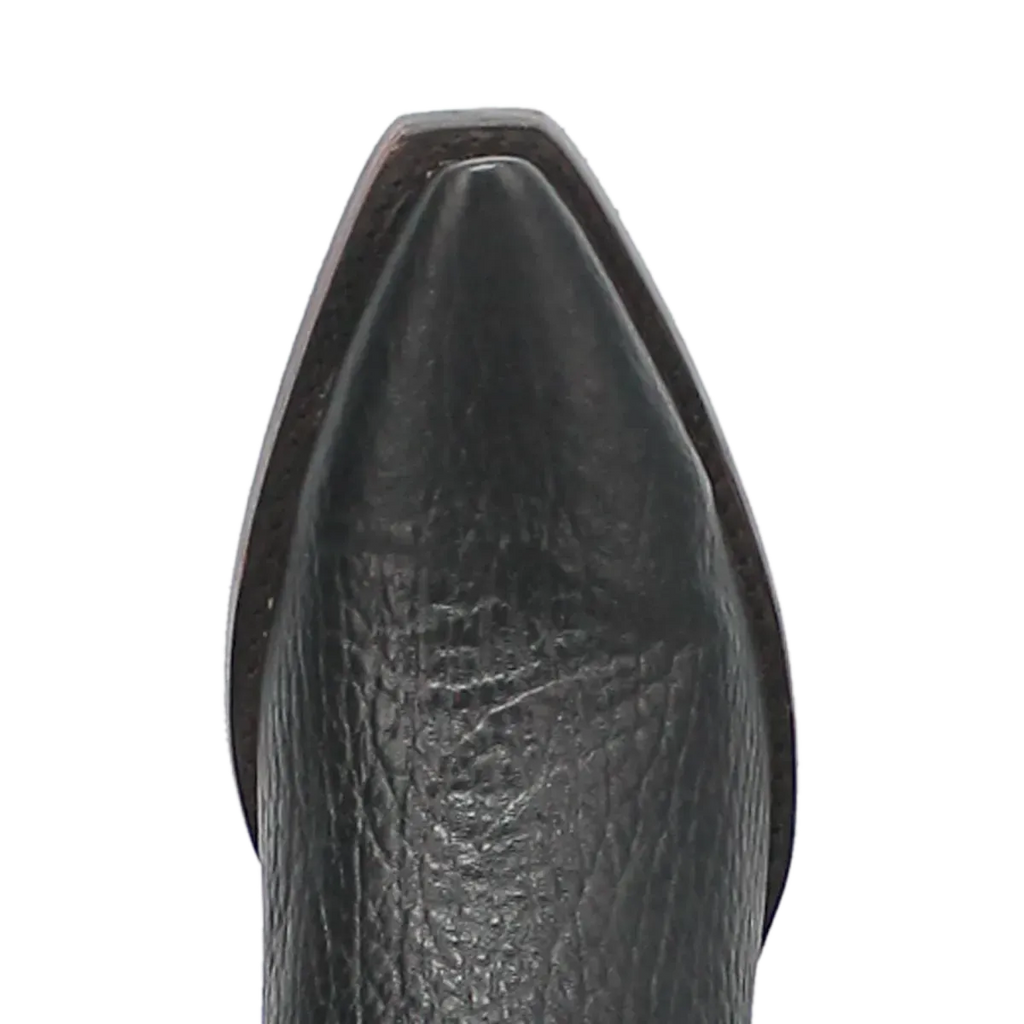 Dingo Rio Lobo - Bottes de cowboy en cuir pour homme