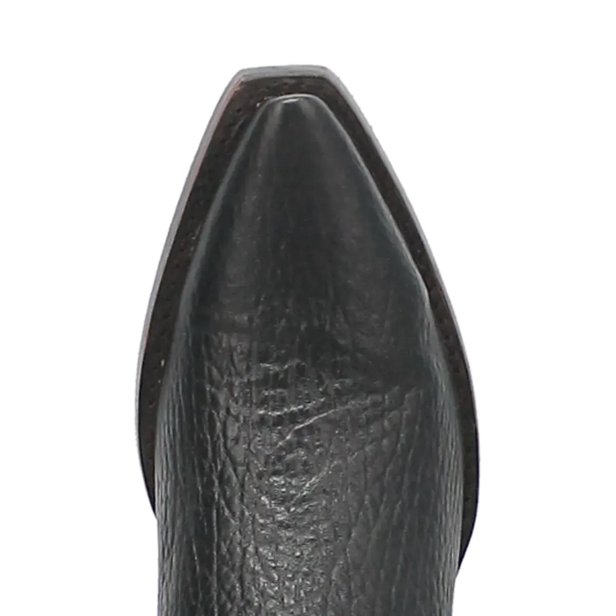 Dingo Rio Lobo - Bottes de cowboy en cuir pour homme