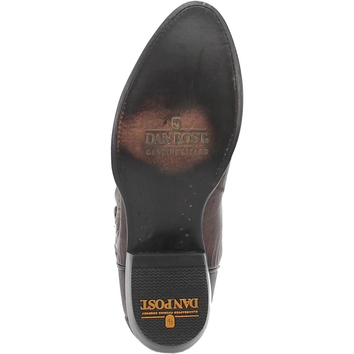 Bottes de cowboy en peau de lézard Dan Post Winston pour homme
