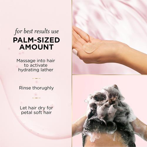 Pantene Nutrient Blends Miracle Moisture Boost Eau de Rose Shampoing & Après-shampoing Duo Pour Cheveux Secs, Sans Sulfate