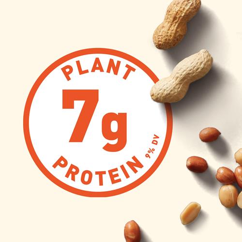 Barre Clif au Beurre de Noix - Chocolat Beurre de Cacahuète - Barres Énergétiques Farcies - Sans OGM - Bio USDA - Végétalienne - Faible Index Glycémique - 50 g (Paquet de 5)
