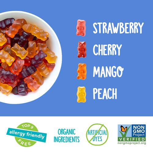 Yumearth Oursons Gélifiés Biologiques - Paquets de Collations Gélifiées aux Fruits, Sans Gluten pour Enfants - Sans Allergènes, Sans OGM, Sans Arômes ni Colorants Artificiels - Saveurs Assorties, 0,7 oz - 15 Unités (Paquet O