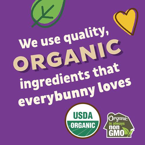 Annies Organic Friends Bunny Grahams, Pépites de chocolat, Chocolat et Miel, Biscuits Graham Cuits, 319 g