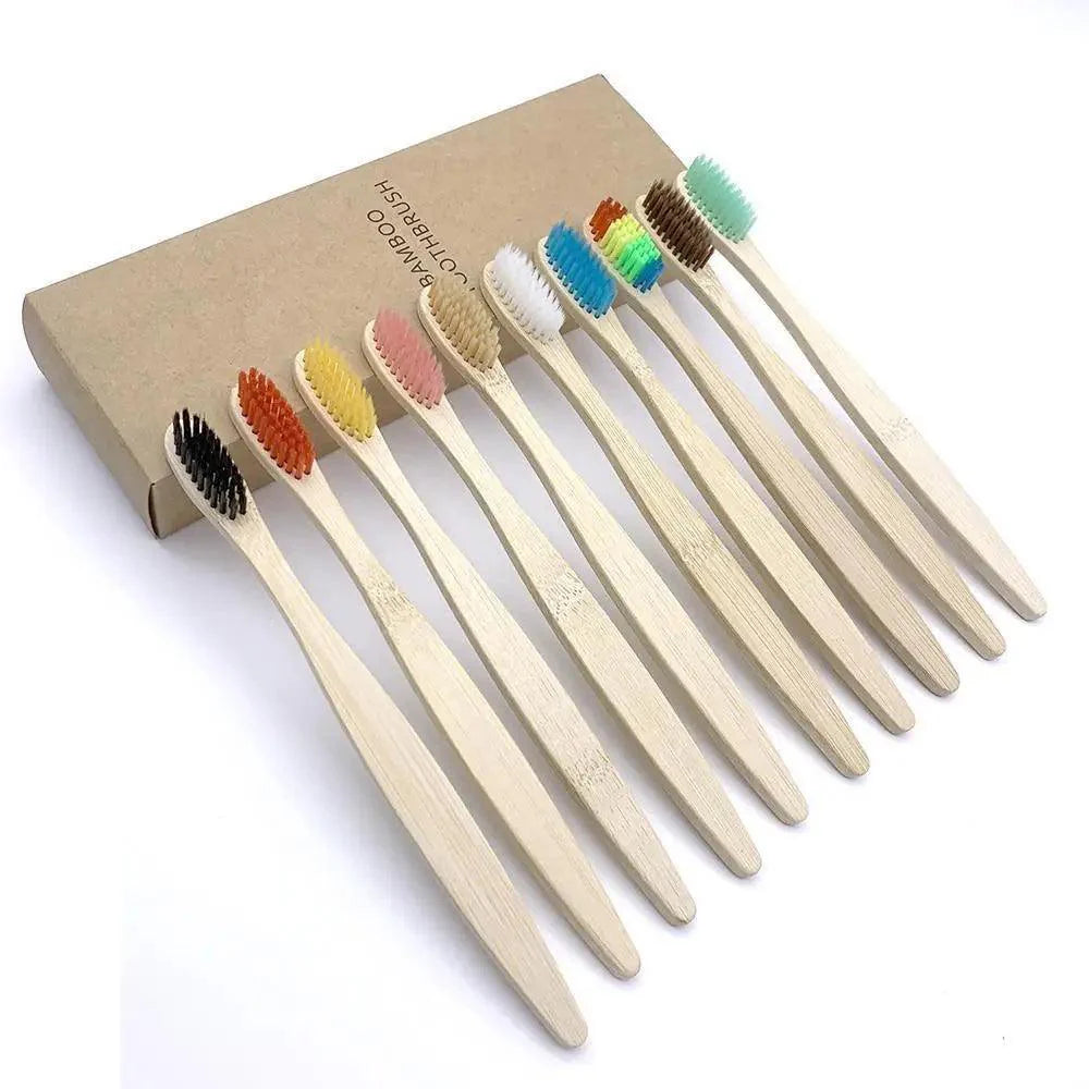 10 Brosses à Dents Naturelles Colorées Écologiques Douces en Bambou Brosse à Dents en Bambou Soins Dentaires Bucco-Dentaires Brosses à Dents en Bois