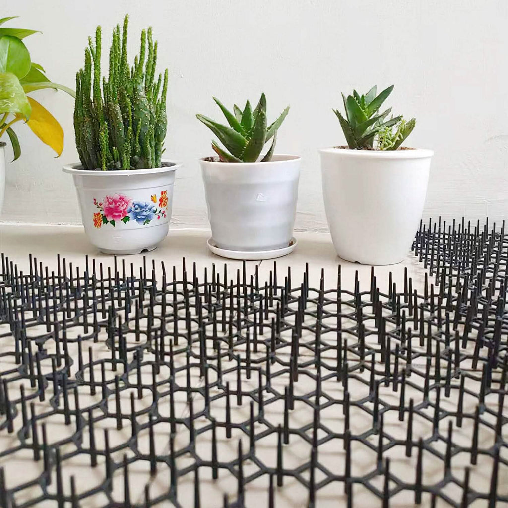 Lot de 10: Tapis anti-chats à pointes