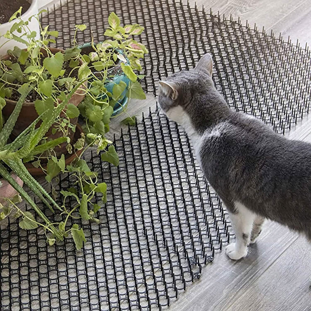 Lot de 10: Tapis anti-chats à pointes