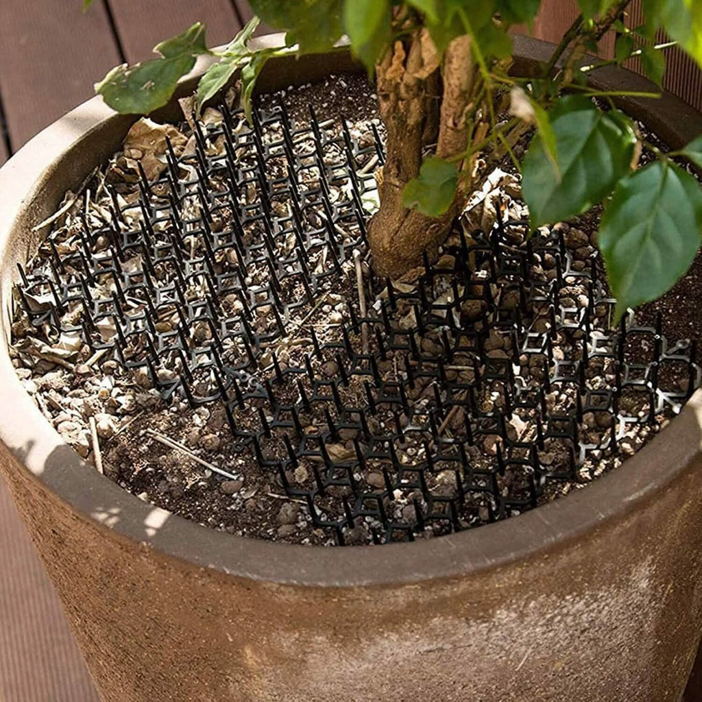 Lot de 10: Tapis anti-chats à pointes