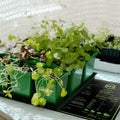 Tapis chauffant 25 x 50 cm pour la germination des semis