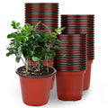 Lot de 100: Pots de pépinière en plastique