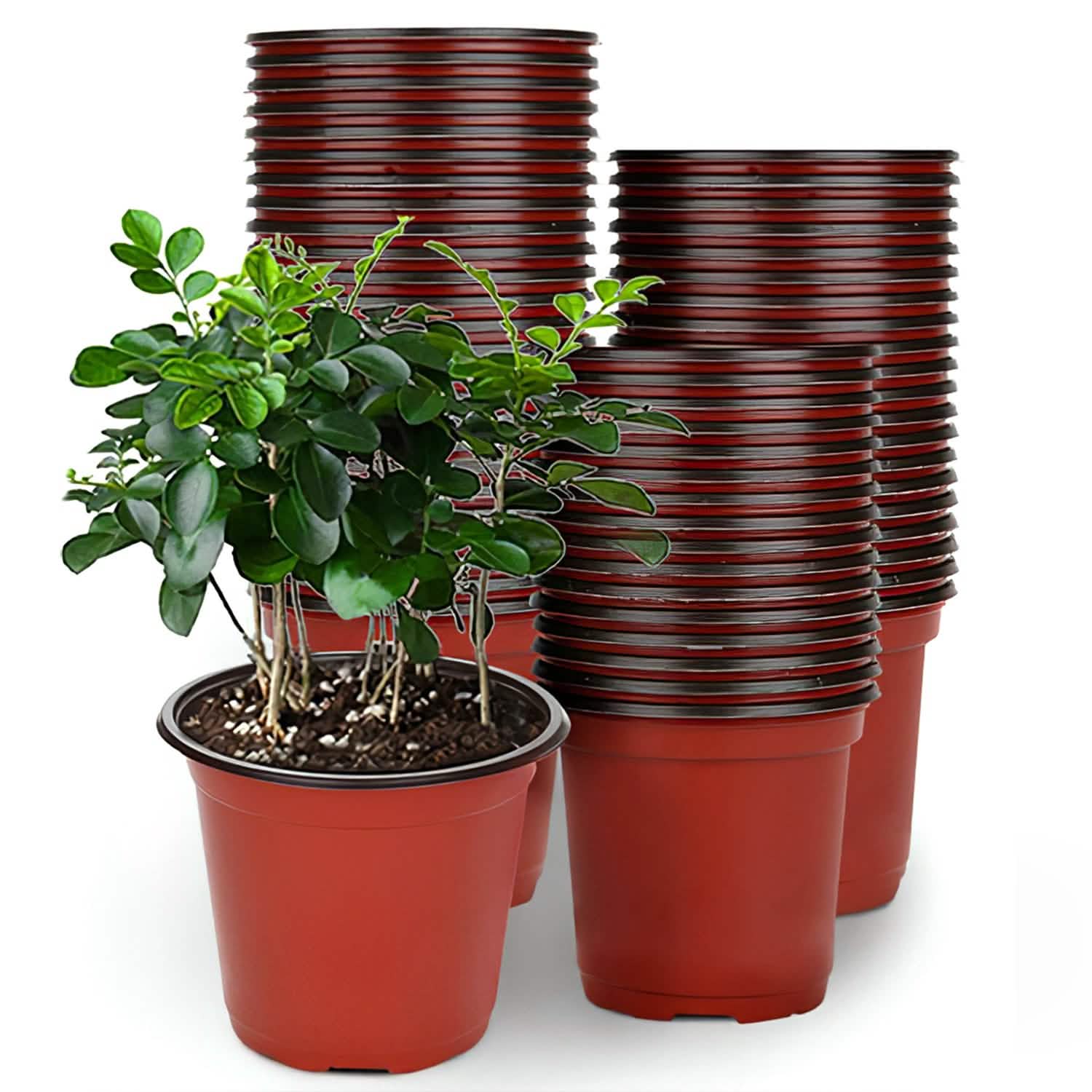Lot de 100: Pots de pépinière en plastique