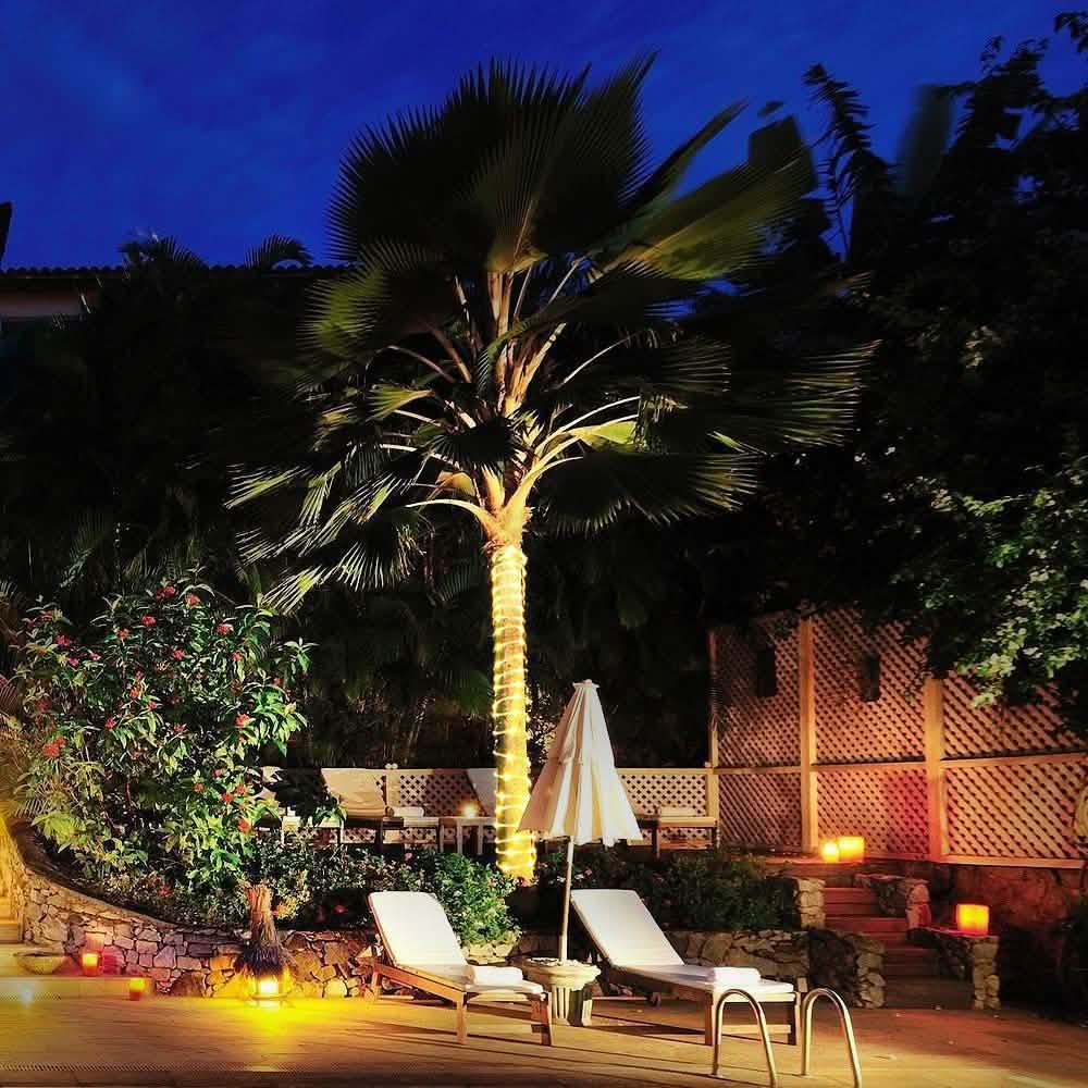 Guirlande lumineuse 100 LED solaire - Blanc chaud