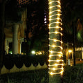 Guirlande lumineuse 100 LED solaire - Blanc chaud