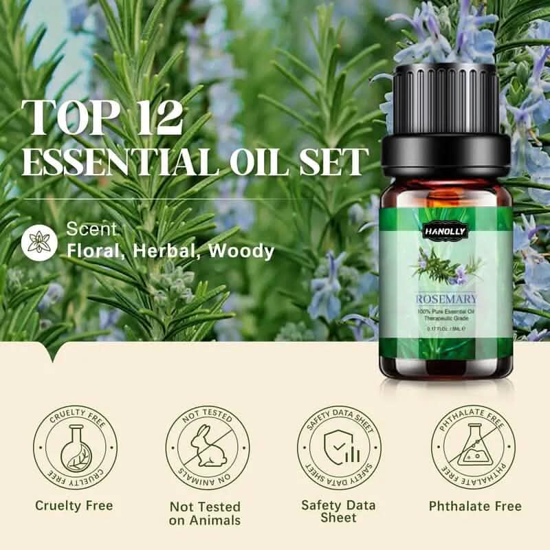 Lot de 12: Kit d'huiles essentielles d'aromathérapie pour diffuseur