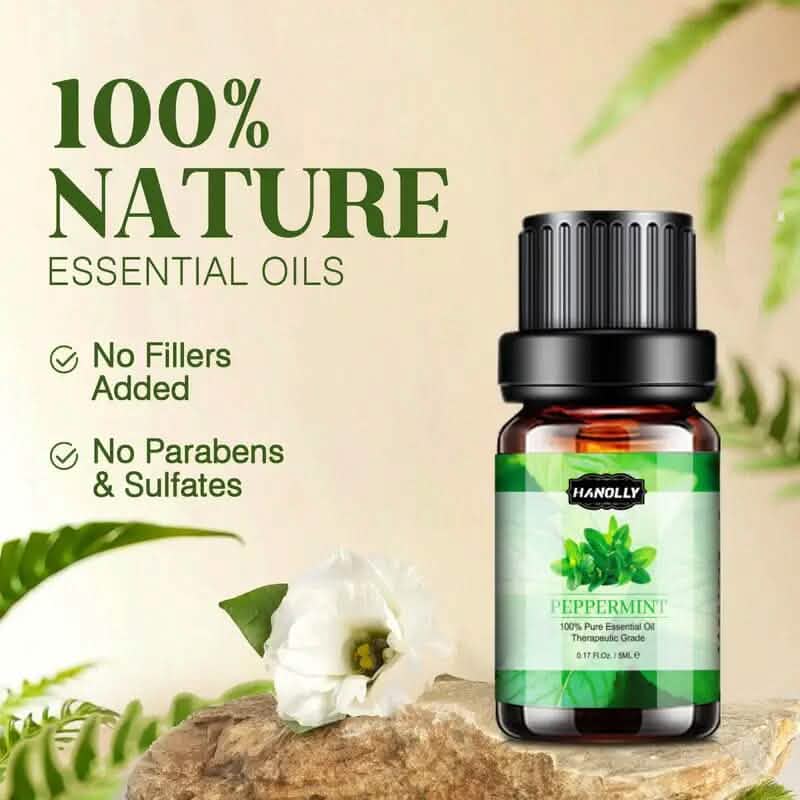 Lot de 12: Kit d'huiles essentielles d'aromathérapie pour diffuseur
