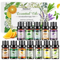 Lot de 12: Kit d'huiles essentielles d'aromathérapie pour diffuseur