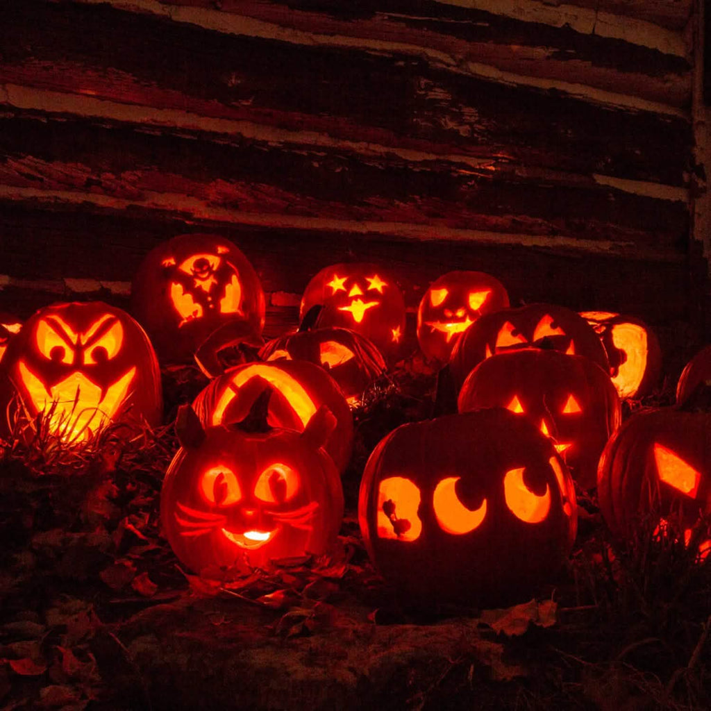 13 pièces : Kit de découpe de citrouille d'Halloween en acier inoxydable