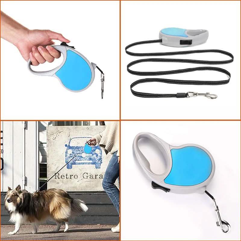 Laisse rétractable automatique pour chien ou chat de 4,8 m