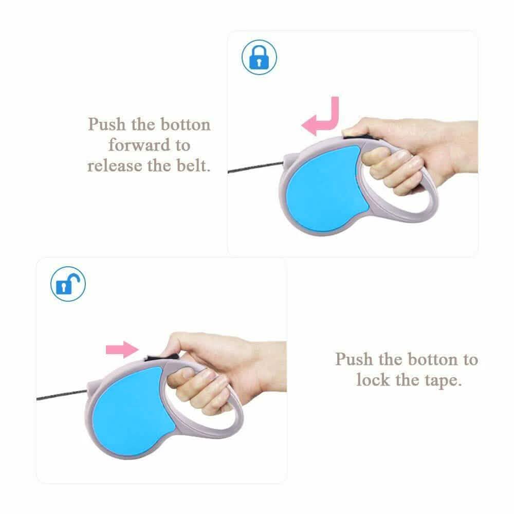 Laisse rétractable automatique pour chien ou chat de 4,8 m