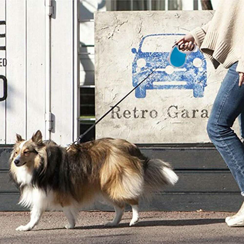 Laisse rétractable automatique pour chien ou chat de 4,8 m