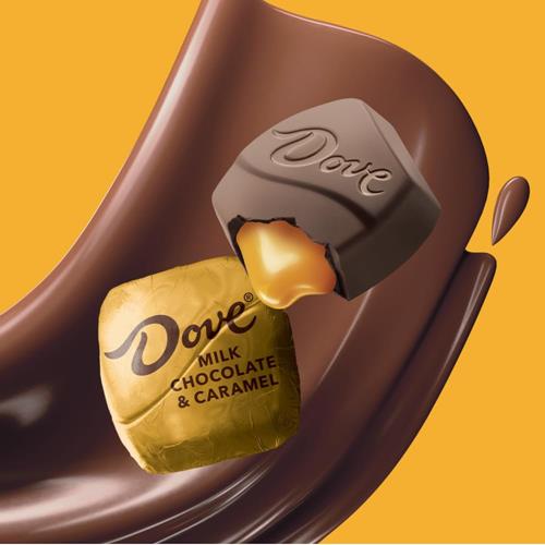 Sachet de chocolats au lait et au caramel Dove Promises, 191 g