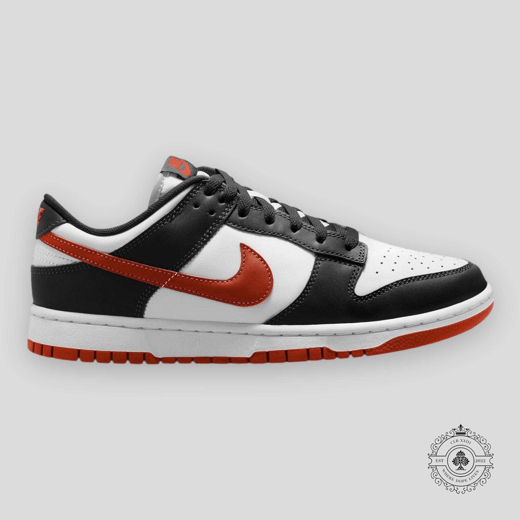 Nike Dunk Low Rétro Dragon