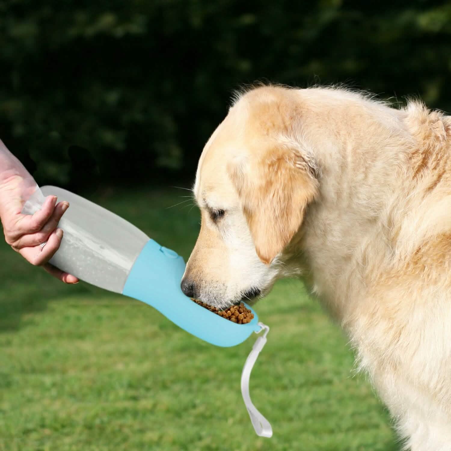 Distributeur d'eau portable pour chien de 525 ml avec gamelle amovible