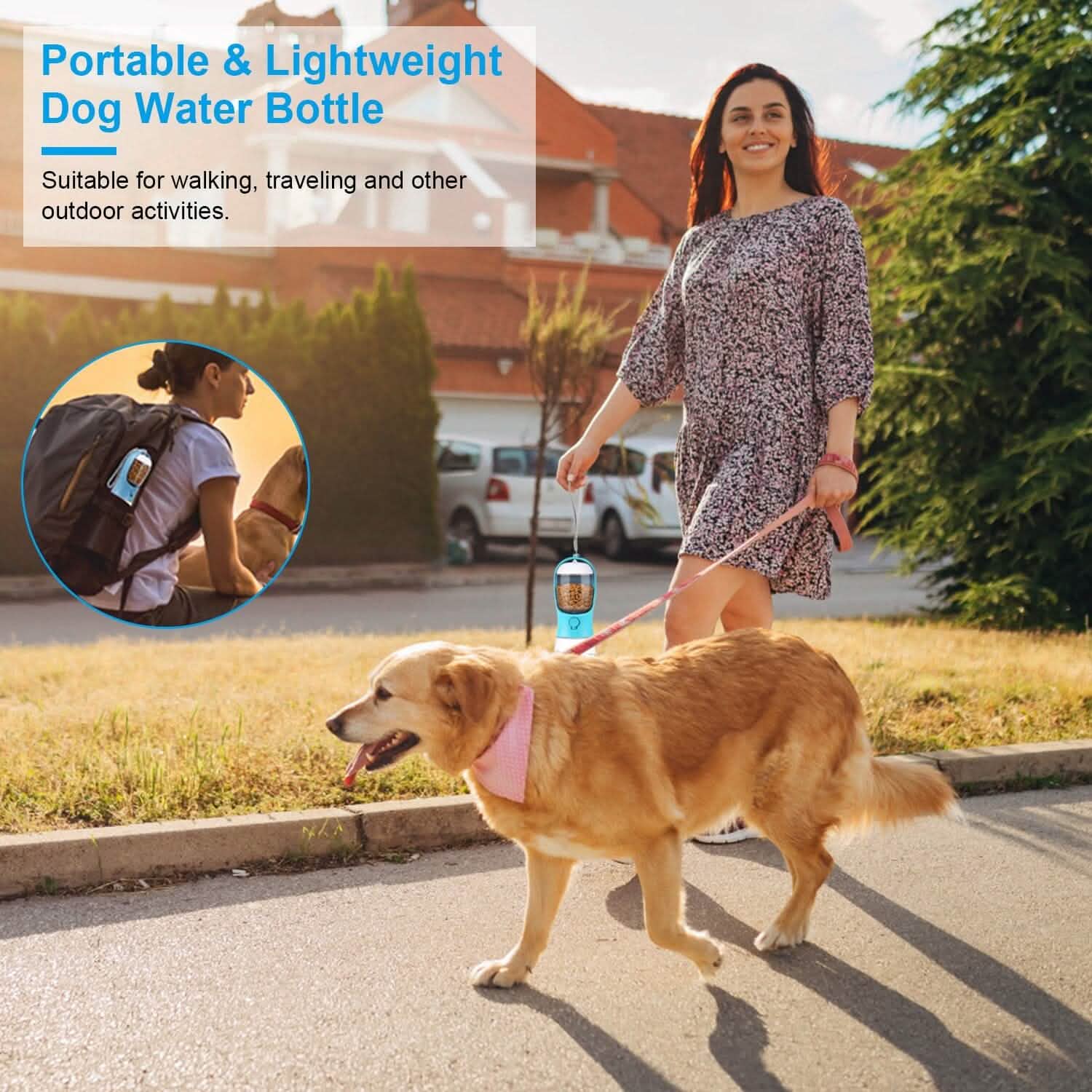 Distributeur d'eau portable pour chien de 525 ml avec gamelle amovible