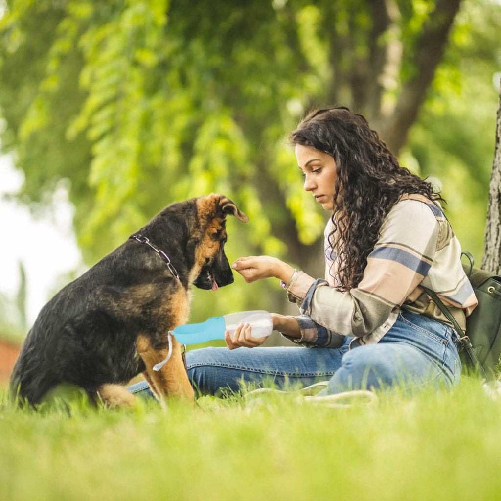 Distributeur d'eau portable pour chien de 525 ml avec gamelle amovible