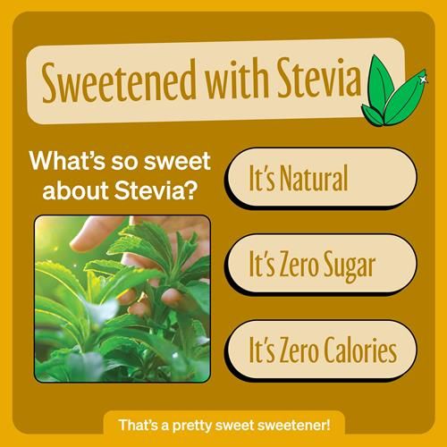 Zevia Soda Zéro Calorie, Crème Soda, Canettes de 355 ml (Paquet de 6)