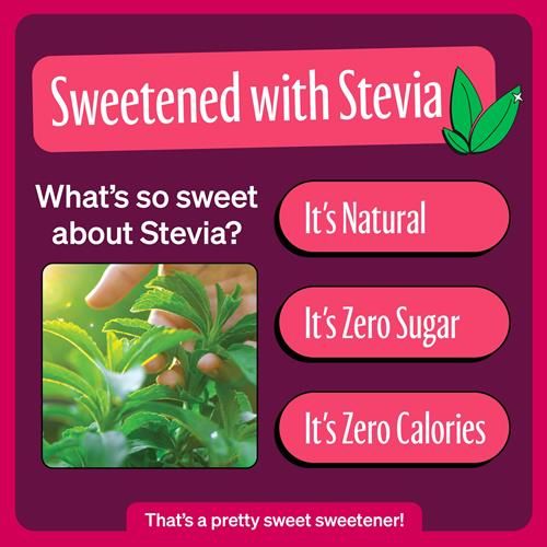 Zevia Boisson Gazeuse Zéro Sucre, Cerise Noire, Canettes de 355 ml (Paquet de 12)