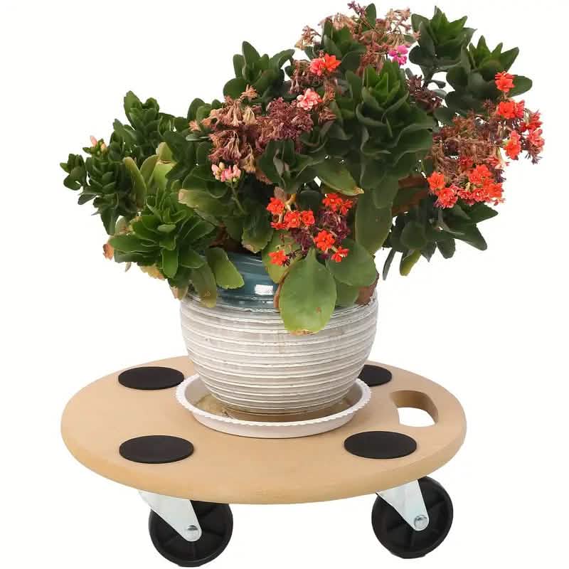 Lot de 2 : Chariot de déménagement robuste en bois
