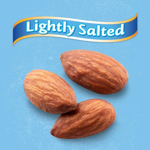 Blue Diamond Almonds Amandes, noix de collation légèrement salées à faible teneur en sodium, sac refermable de 450 g (paquet de 1)