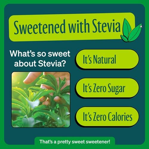 Boissons gazeuses Zevia Zéro Sucre, Ginger Ale, canettes de 355 ml (paquet de 12)