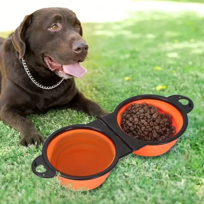 Gamelle double rétractable 2-en-1 pour chien