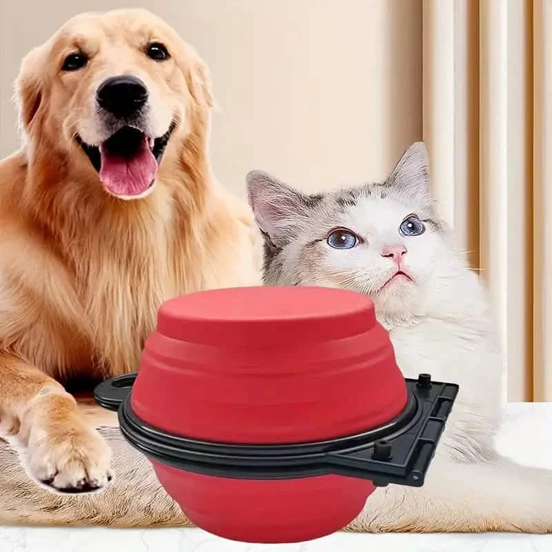 Gamelle double rétractable 2-en-1 pour chien