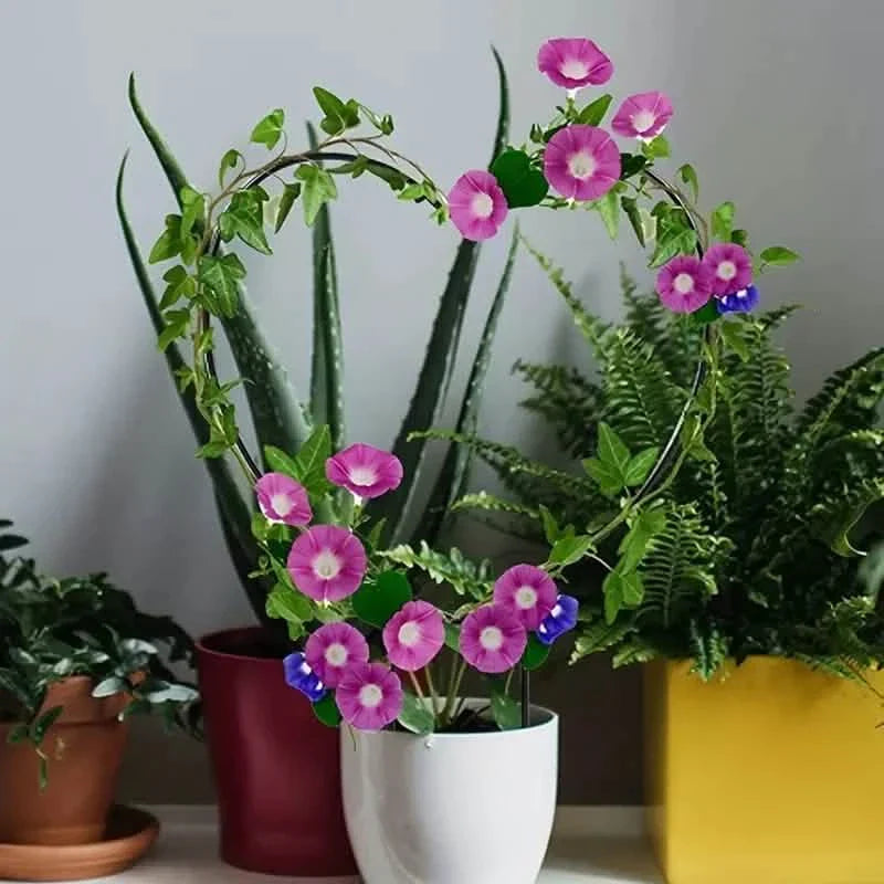 Lot de 2 tuteurs de plantes en forme de cœur