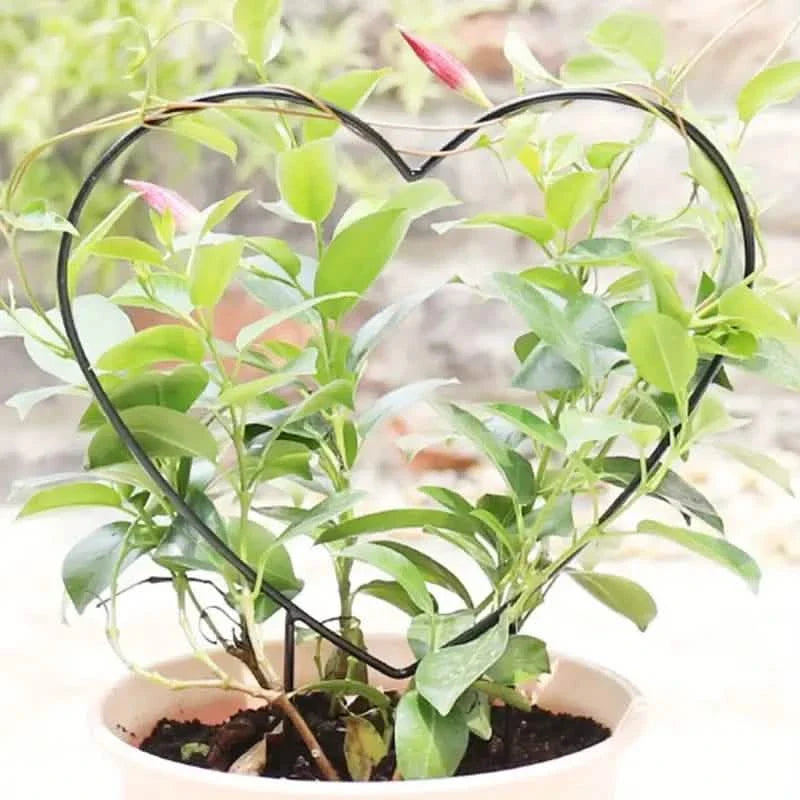 Lot de 2 tuteurs de plantes en forme de cœur