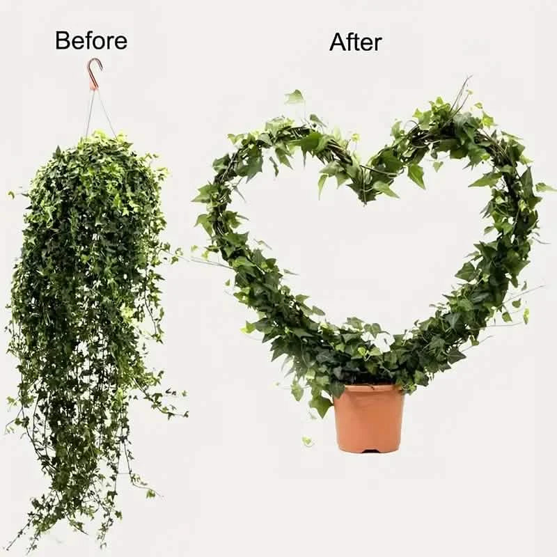 Lot de 2 tuteurs de plantes en forme de cœur