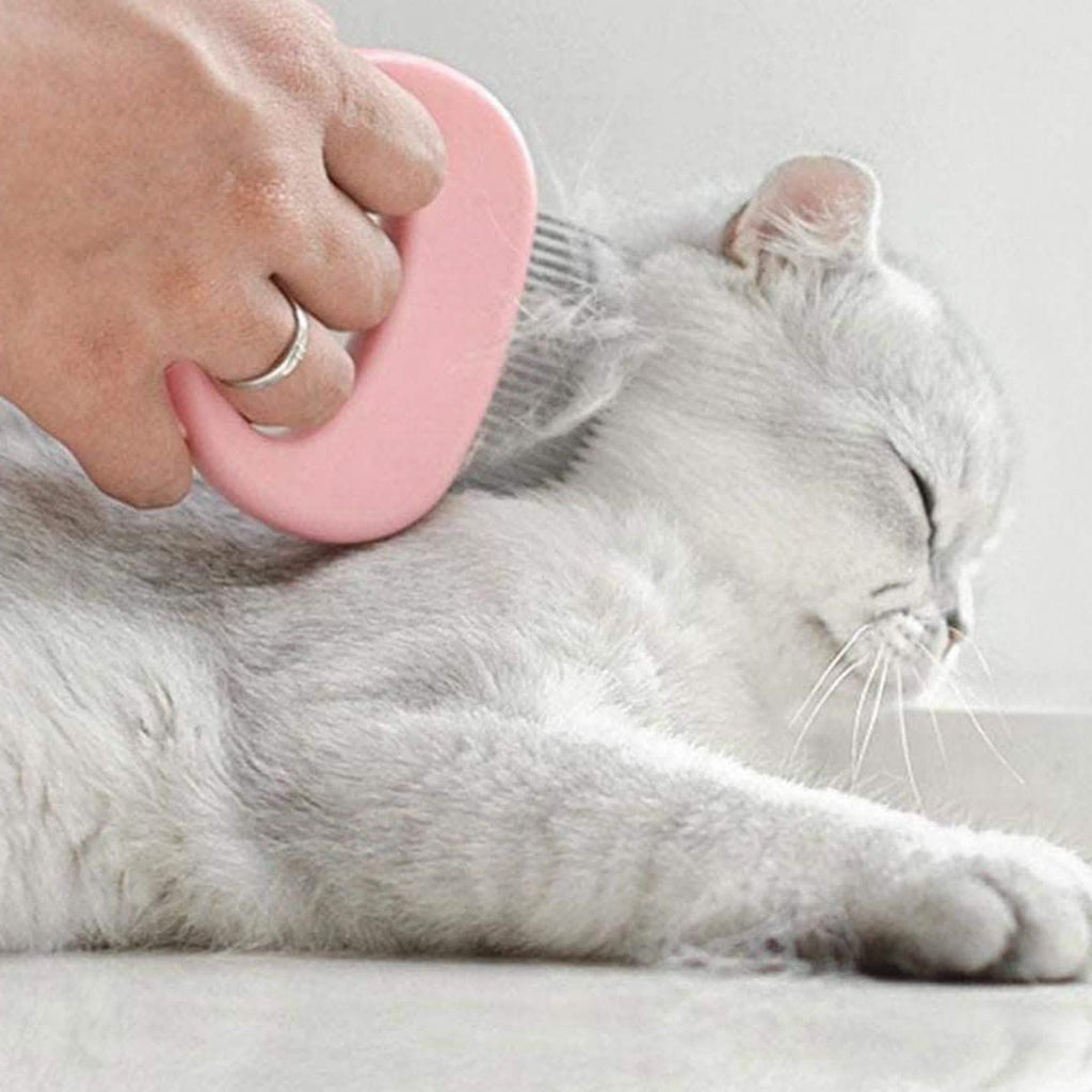 Lot de 2 : Peigne-brosse coquille pour l'épilation des poils d'animaux et le massage, pour le toilettage et la mue