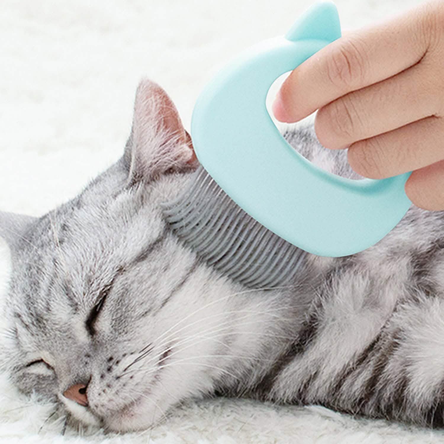 Lot de 2 : Peigne-brosse coquille pour l'épilation des poils d'animaux et le massage, pour le toilettage et la mue