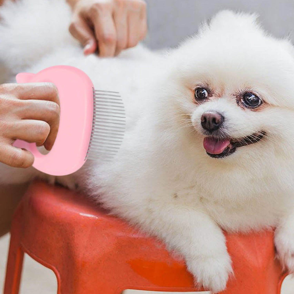 Lot de 2 : Peigne-brosse coquille pour l'épilation des poils d'animaux et le massage, pour le toilettage et la mue