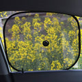 Lot de 2 : Pare-soleil de lunette arrière