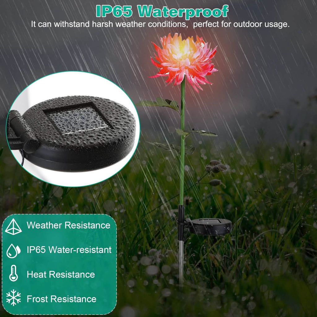Lot de 2 : Lampes solaires LED Chrysanthème