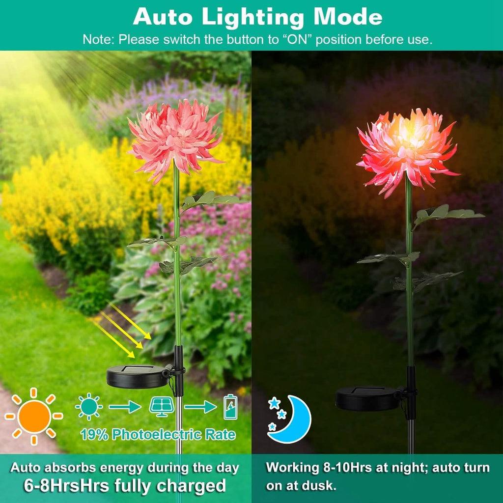 Lot de 2 : Lampes solaires LED Chrysanthème