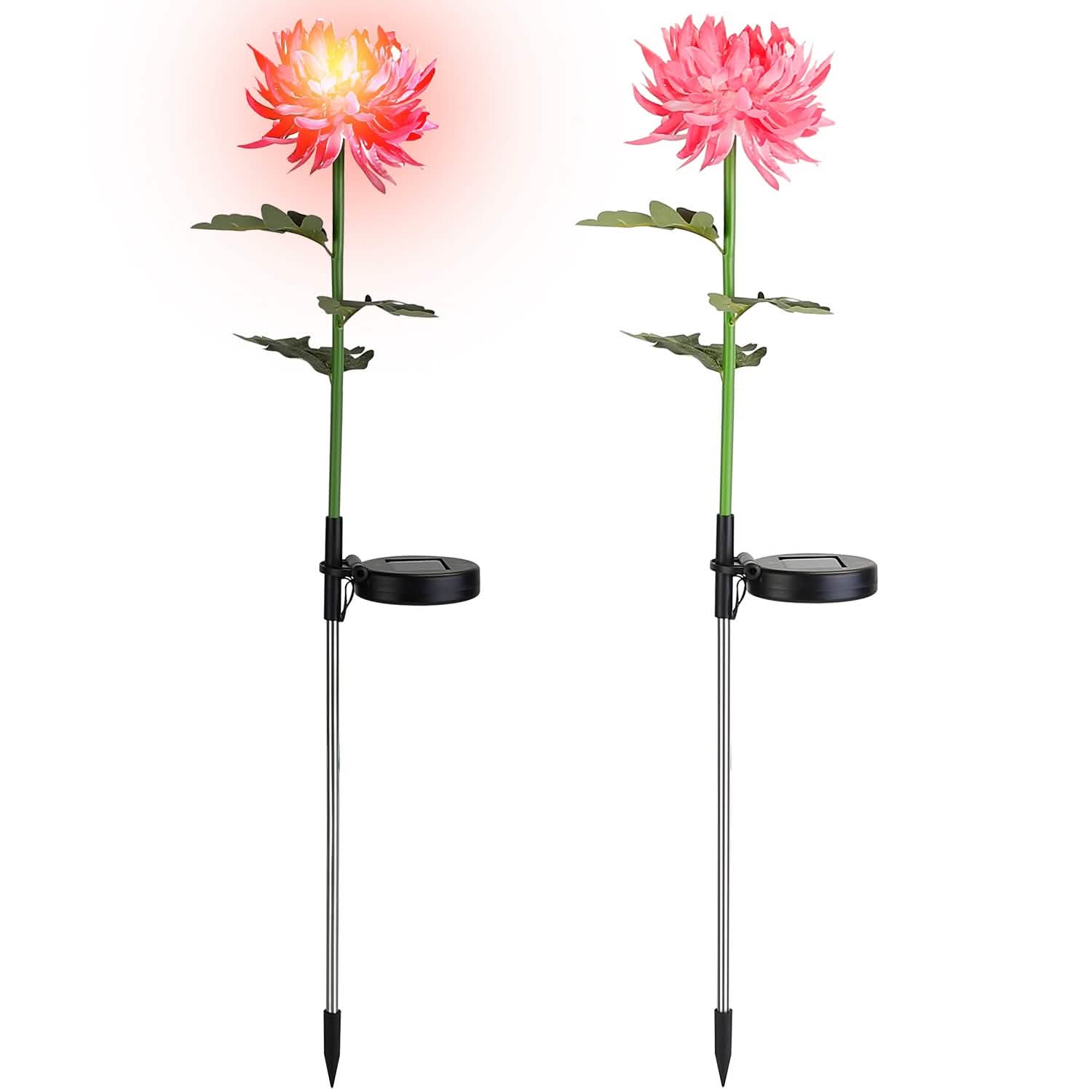Lot de 2 : Lampes solaires LED Chrysanthème
