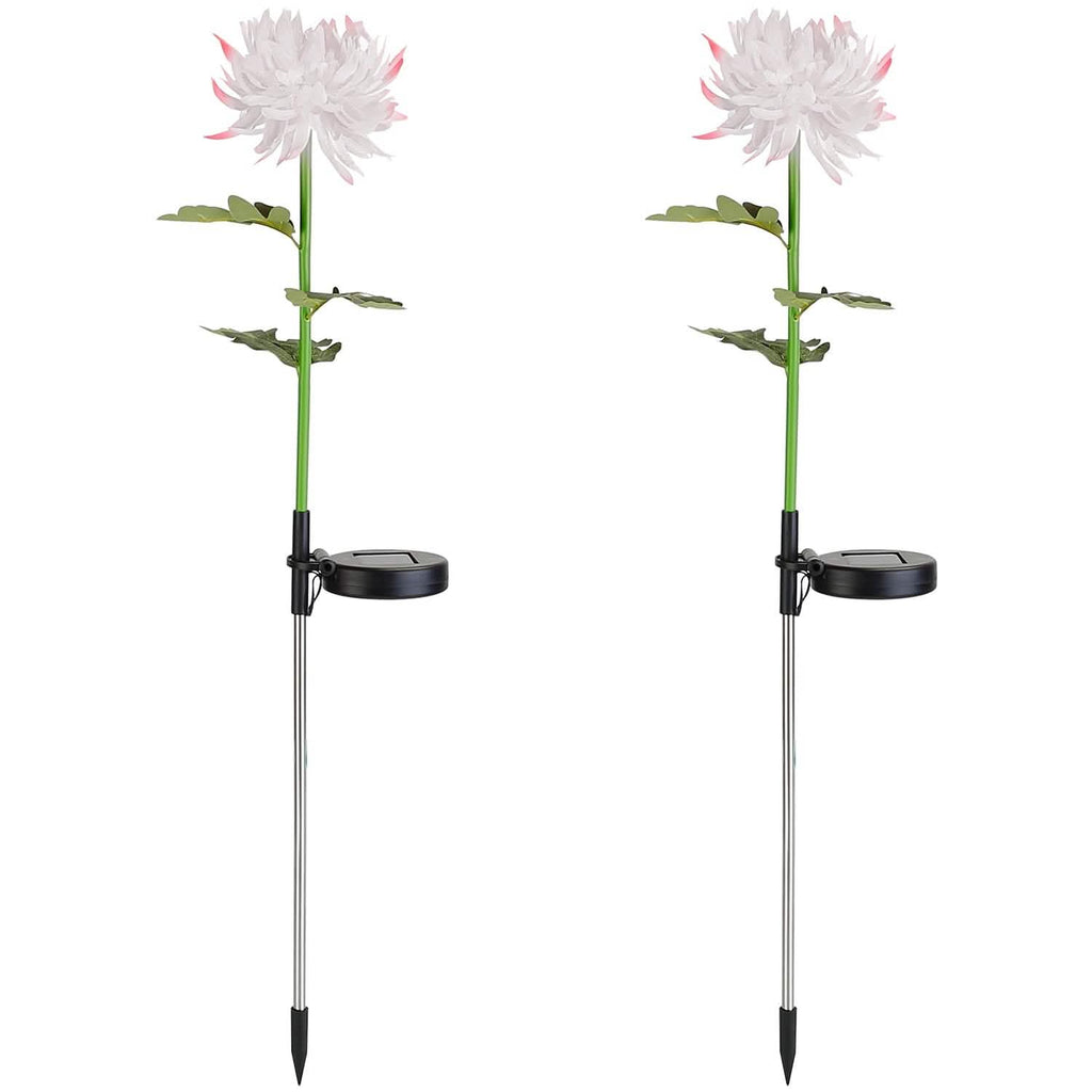 Lot de 2 : Lampes solaires LED Chrysanthème