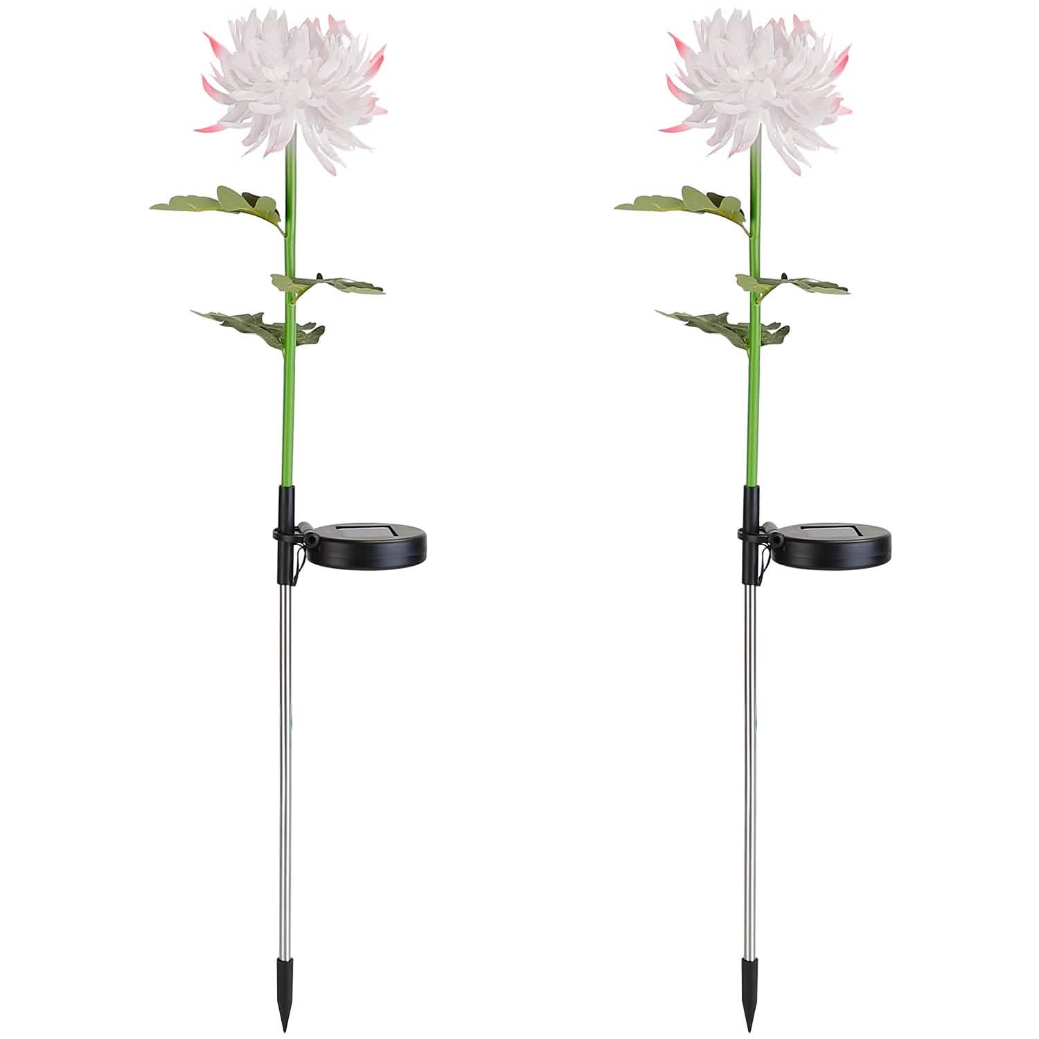 Lot de 2 : Lampes solaires LED Chrysanthème