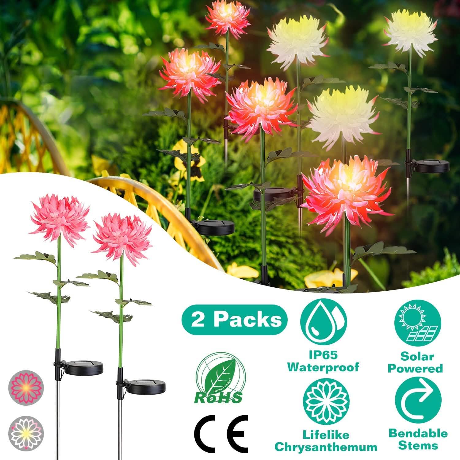 Lot de 2 : Lampes solaires LED Chrysanthème