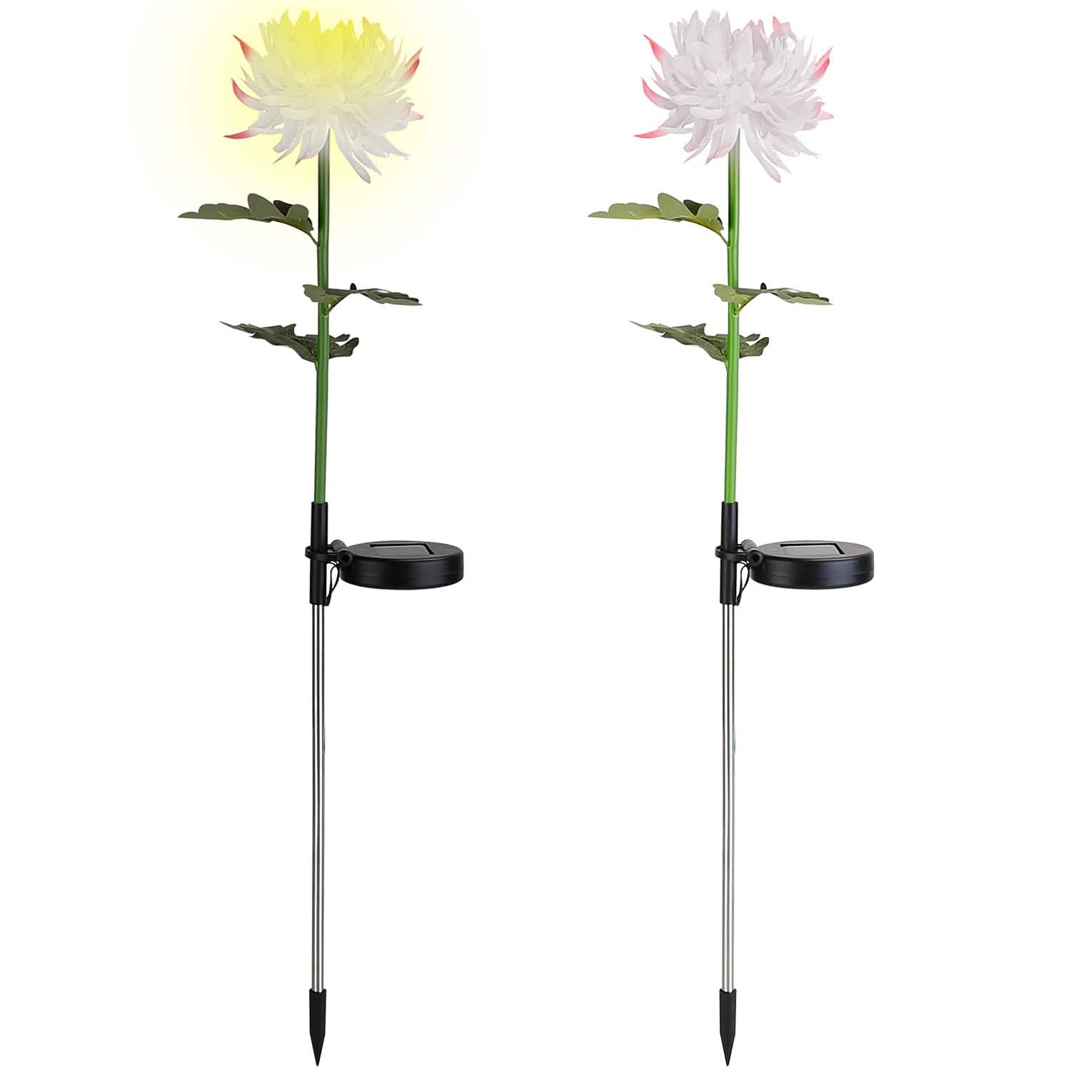 Lot de 2 : Lampes solaires LED Chrysanthème
